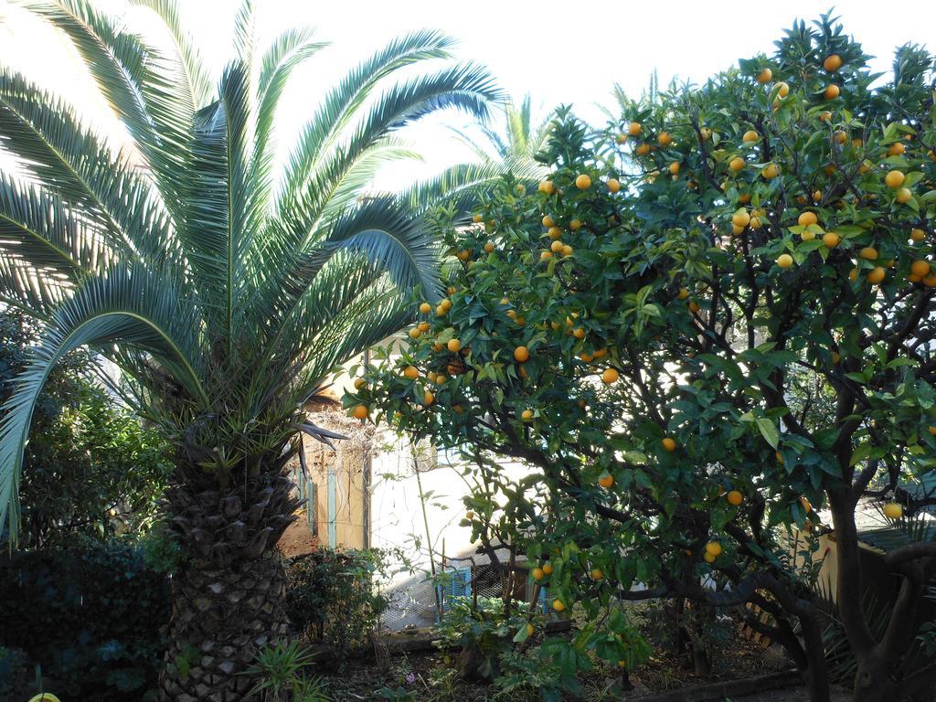 Hotel Villa Les Cygnes Νίκαια Εξωτερικό φωτογραφία
