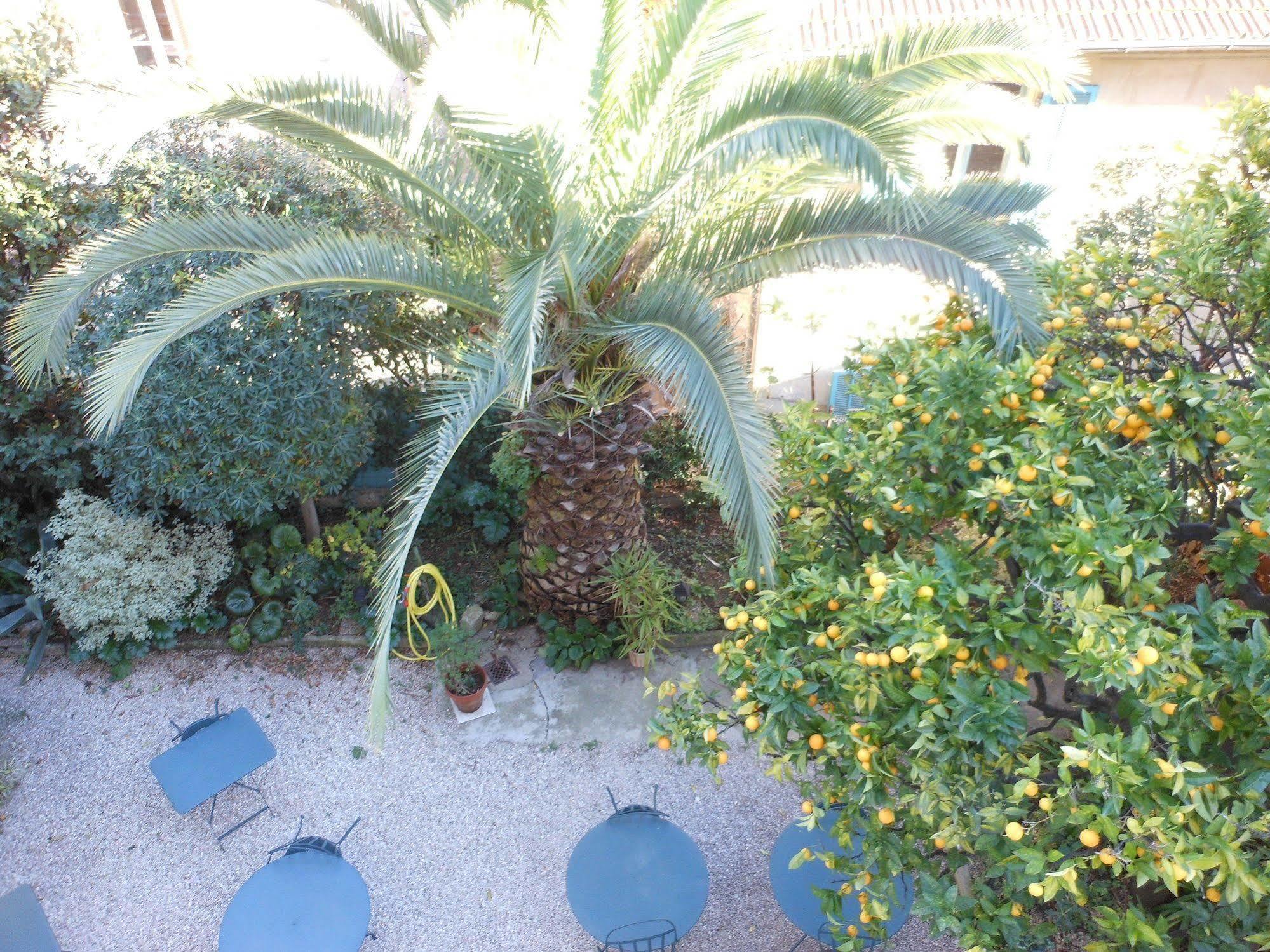 Hotel Villa Les Cygnes Νίκαια Εξωτερικό φωτογραφία